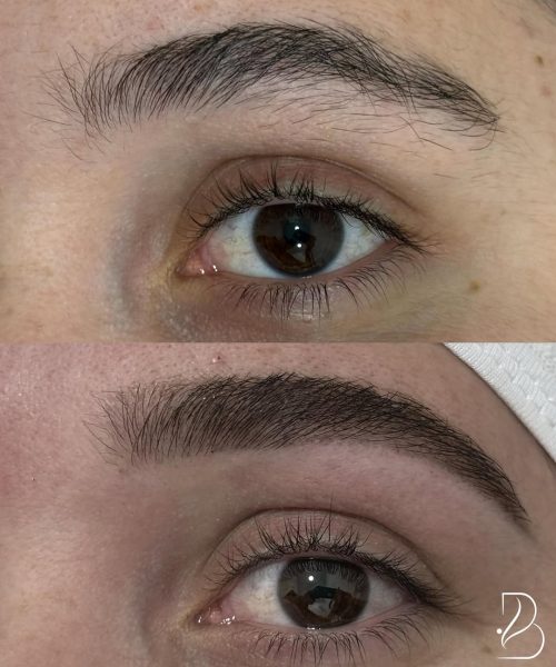 snapins-ai_3729601775344376297